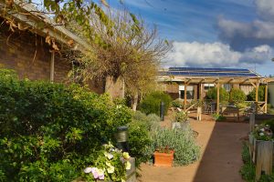 Ashleigh House courtyard